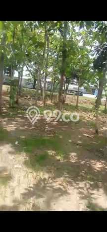 Kavling Tanah Dijual di Ngaringan Grobogan Spesifikasi 24000m2 Kavling Tanah Dijual di Ngaringan Grobogan Spesifikasi 24000m2