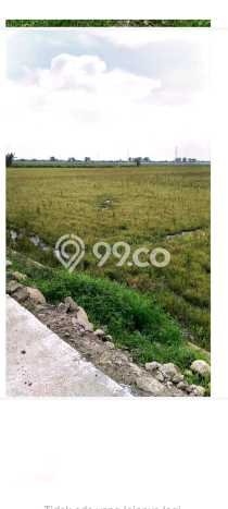 Tanah Komersial Dijual di Kudus Kabupaten Kudus 1.19949e+06m2 Tanah Komersial Dijual di Kudus Kabupaten Kudus 1.19949e+06m2