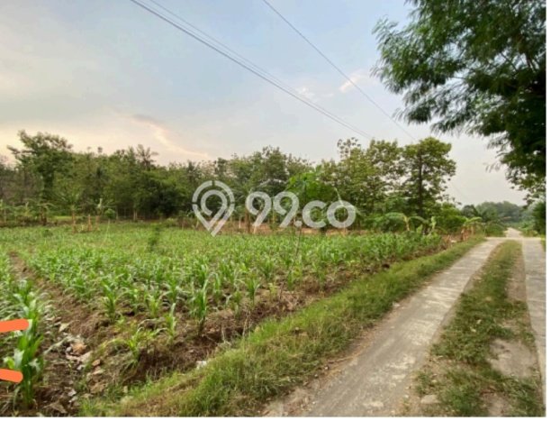 Tanah untuk Dijual di Wonosegoro Boyolali Luas 500000m2 Tanah untuk Dijual di Wonosegoro Boyolali Luas 500000m2