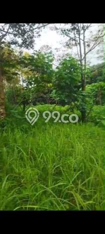 Lahan untuk Dijual Lokasi Ampel, Boyolali Luas 5800m2 SHM Lahan untuk Dijual Lokasi Ampel, Boyolali Luas 5800m2 SHM
