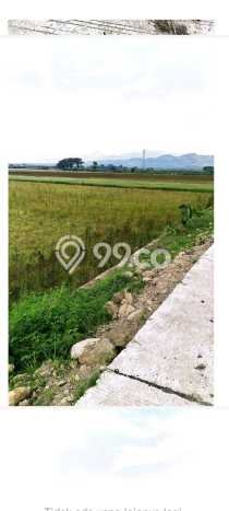 Tanah Komersial Dijual di Kudus Kabupaten Kudus 1.19949e+06m2 Tanah Komersial Dijual di Kudus Kabupaten Kudus 1.19949e+06m2