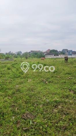 Tanah Komersial Dijual di Wagir Malang 246m2 Tanah Komersial Dijual di Wagir Malang 246m2