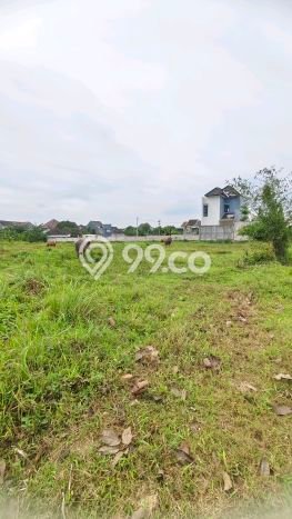 Tanah Komersial Dijual di Wagir Malang 246m2 Tanah Komersial Dijual di Wagir Malang 246m2