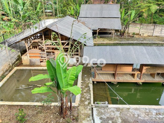 Vila Potensial di Arcamanik, Ukuran 1262m2m², Area Asri untuk Anda Vila Potensial di Arcamanik, Ukuran 1262m2m², Area Asri untuk Anda
