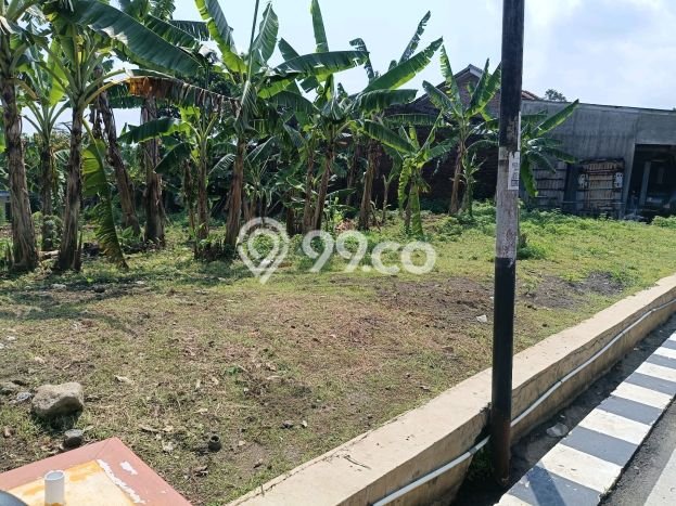 Lahan Strategis di Semarang Selatan Dijual dengan Luas 618m2 Lahan Strategis di Semarang Selatan Dijual dengan Luas 618m2