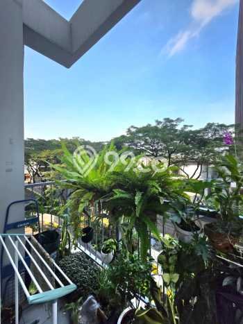 Hunian Apartemen 1 KT 1 KM di BSD, Tangerang Selatan Dijual Cepat Hunian Apartemen 1 KT 1 KM di BSD, Tangerang Selatan Dijual Cepat