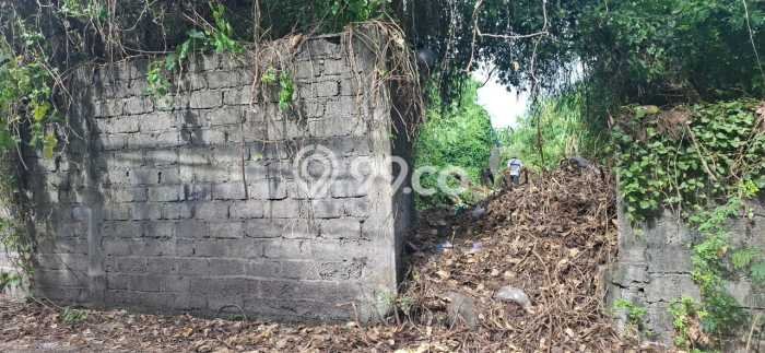 Dijual Tanah Lokasi Sanur, Denpasar Seluas 300m2 Dijual Tanah Lokasi Sanur, Denpasar Seluas 300m2