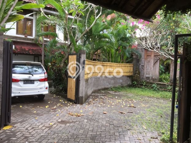 Dijual Tanah 13 Are Bonus Villa Tua Di Bumbak Umalas Harga Termurah Di Areanya Dijual Tanah 13 Are Bonus Villa Tua Di Bumbak Umalas Harga Termurah Di Areanya