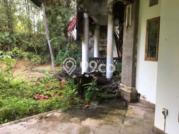Dijual Tanah 13 Are Bonus Villa Tua Di Bumbak Umalas Harga Termurah Di Areanya Dijual Tanah 13 Are Bonus Villa Tua Di Bumbak Umalas Harga Termurah Di Areanya
