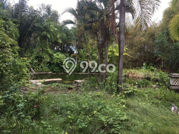 Dijual Tanah 13 Are Bonus Villa Tua Di Bumbak Umalas Harga Termurah Di Areanya Dijual Tanah 13 Are Bonus Villa Tua Di Bumbak Umalas Harga Termurah Di Areanya