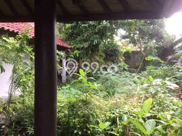 Dijual Tanah 13 Are Bonus Villa Tua Di Bumbak Umalas Harga Termurah Di Areanya Dijual Tanah 13 Are Bonus Villa Tua Di Bumbak Umalas Harga Termurah Di Areanya
