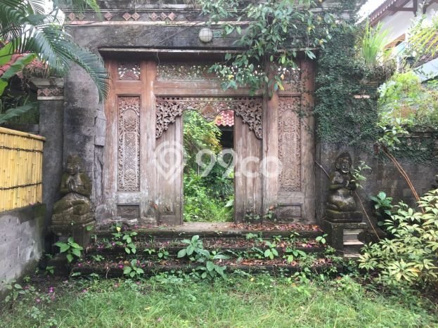 Dijual Tanah 13 Are Bonus Villa Tua Di Bumbak Umalas Harga Termurah Di Areanya Dijual Tanah 13 Are Bonus Villa Tua Di Bumbak Umalas Harga Termurah Di Areanya