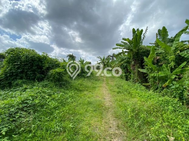 PRIME LOCATION! Tanah di Sempidi, Luas 200m², Cocok untuk Investasi PRIME LOCATION! Tanah di Sempidi, Luas 200m², Cocok untuk Investasi