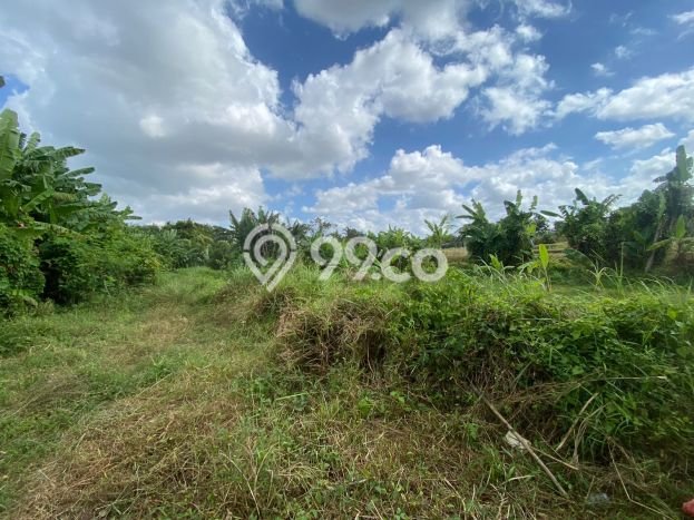 For Sale Tanah Kawasan Sempidi, Luas 1030m², Dekat Sempidi, Badung, Badung For Sale Tanah Kawasan Sempidi, Luas 1030m², Dekat Sempidi, Badung, Badung