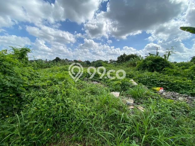 For Sale Tanah Kawasan Sempidi, Luas 1030m², Dekat Sempidi, Badung, Badung For Sale Tanah Kawasan Sempidi, Luas 1030m², Dekat Sempidi, Badung, Badung