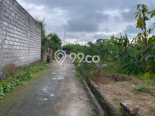 Tanah di Gianyar, Luas 156m², Area Potensial Tanah di Gianyar, Luas 156m², Area Potensial
