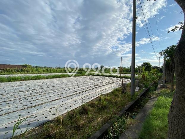 Kavling Tanah Dijual di Dawan Klungkung Spesifikasi 2400m2 Kavling Tanah Dijual di Dawan Klungkung Spesifikasi 2400m2