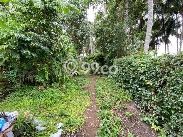 Tanah Area Berkembang Kawasan Ubud, Luas 930m², Dekat ke Pusat Kota Tanah Area Berkembang Kawasan Ubud, Luas 930m², Dekat ke Pusat Kota