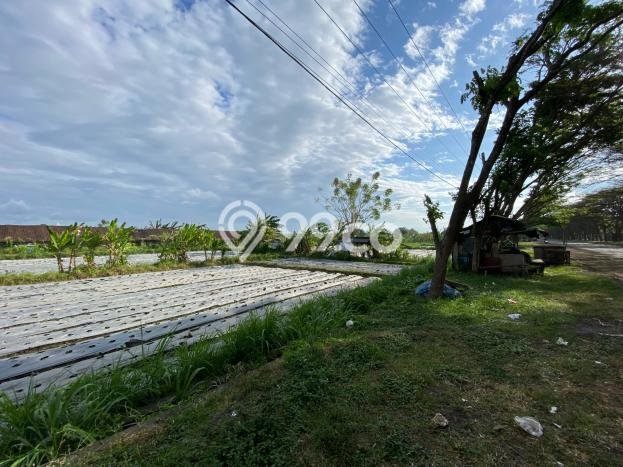 Kavling Tanah Dijual di Dawan Klungkung Spesifikasi 2400m2 Kavling Tanah Dijual di Dawan Klungkung Spesifikasi 2400m2