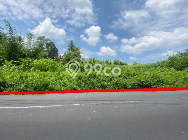 Dijual Tanah Area Prospektif di Peliatan, Luas 1316m², Akses Peliatan, Gianyar, Gianyar Dijual Tanah Area Prospektif di Peliatan, Luas 1316m², Akses Peliatan, Gianyar, Gianyar