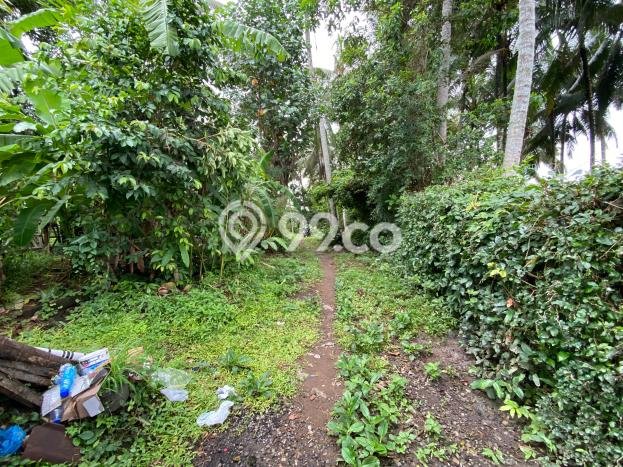 Tanah Area Berkembang Kawasan Ubud, Luas 930m², Dekat ke Pusat Kota Tanah Area Berkembang Kawasan Ubud, Luas 930m², Dekat ke Pusat Kota