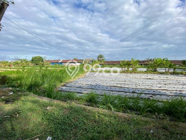 Kavling Tanah Dijual di Dawan Klungkung Spesifikasi 2400m2 Kavling Tanah Dijual di Dawan Klungkung Spesifikasi 2400m2