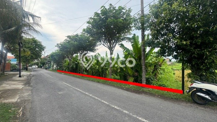 Tanah Dijual Lokasi Strategis di Badung dengan Luas 1450m2 Tanah Dijual Lokasi Strategis di Badung dengan Luas 1450m2