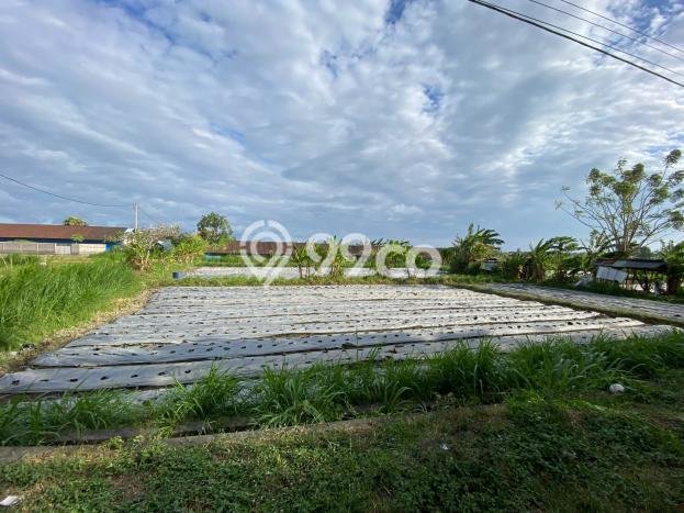 Kavling Tanah Dijual di Dawan Klungkung Spesifikasi 2400m2 Kavling Tanah Dijual di Dawan Klungkung Spesifikasi 2400m2