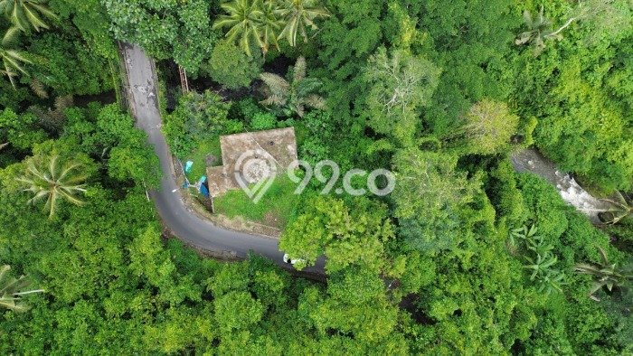 Dijual Tanah Lokasi Prima Kawasan Peliatan, Luas 360m², Akses Transportasi Dijual Tanah Lokasi Prima Kawasan Peliatan, Luas 360m², Akses Transportasi