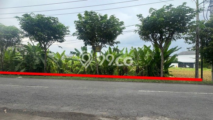 Tanah Dijual Lokasi Strategis di Badung dengan Luas 1450m2 Tanah Dijual Lokasi Strategis di Badung dengan Luas 1450m2