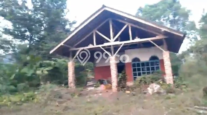 Untuk Dijual Tanah di Subang Subang Luas 1.7e+06m2 SHM Untuk Dijual Tanah di Subang Subang Luas 1.7e+06m2 SHM