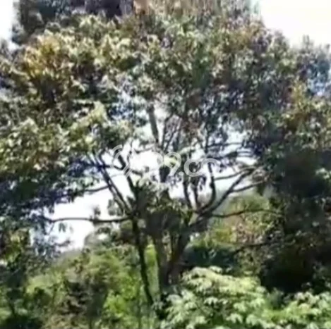Untuk Dijual Tanah di Subang Subang Luas 1.7e+06m2 SHM Untuk Dijual Tanah di Subang Subang Luas 1.7e+06m2 SHM