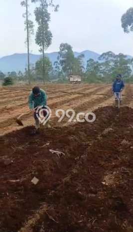 Tanah Kavling di Pangalengan Dijual dengan Luas 1380m2 Tanah Kavling di Pangalengan Dijual dengan Luas 1380m2