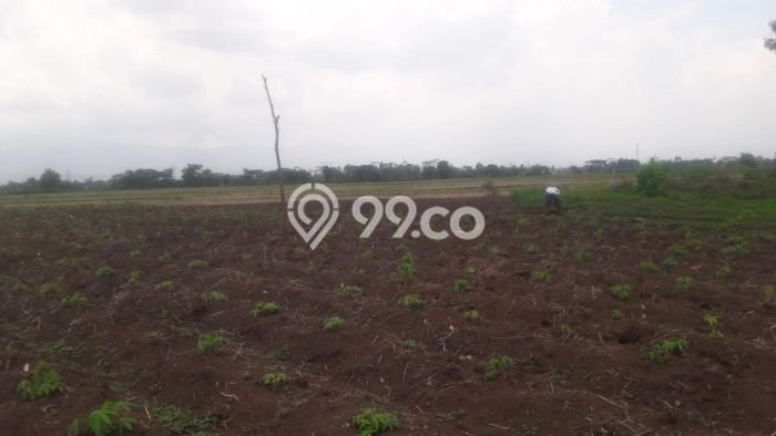Lahan untuk Dijual Lokasi Rancaekek, Bandung Luas 350m2 AJB Lahan untuk Dijual Lokasi Rancaekek, Bandung Luas 350m2 AJB