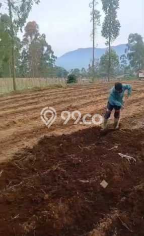 Tanah Kavling di Pangalengan Dijual dengan Luas 1380m2 Tanah Kavling di Pangalengan Dijual dengan Luas 1380m2