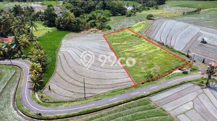 Lahan Strategis di Tabanan Dijual dengan Luas 2230m2 Lahan Strategis di Tabanan Dijual dengan Luas 2230m2