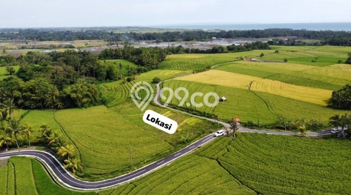 Lahan Strategis di Tabanan Dijual dengan Luas 2230m2 Lahan Strategis di Tabanan Dijual dengan Luas 2230m2