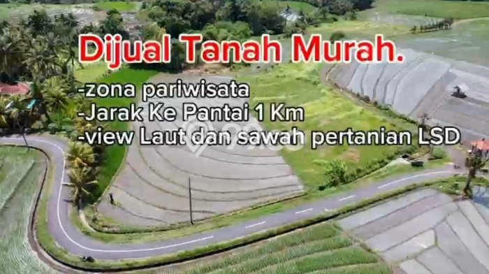 Lahan Strategis di Tabanan Dijual dengan Luas 2230m2 Lahan Strategis di Tabanan Dijual dengan Luas 2230m2