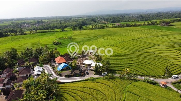Lahan Strategis di Tabanan Dijual dengan Luas 2230m2 Lahan Strategis di Tabanan Dijual dengan Luas 2230m2