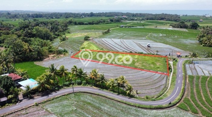 Lahan Strategis di Tabanan Dijual dengan Luas 2230m2 Lahan Strategis di Tabanan Dijual dengan Luas 2230m2