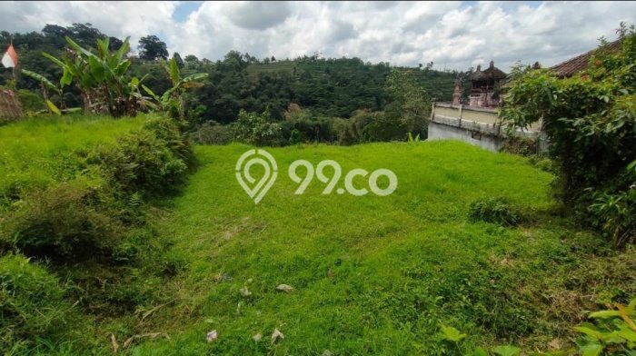 Tanah Dijual Lokasi Baturiti Tabanan SHM Tanah Dijual Lokasi Baturiti Tabanan SHM