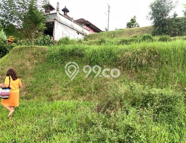 Tanah Dijual Lokasi Baturiti Tabanan SHM Tanah Dijual Lokasi Baturiti Tabanan SHM