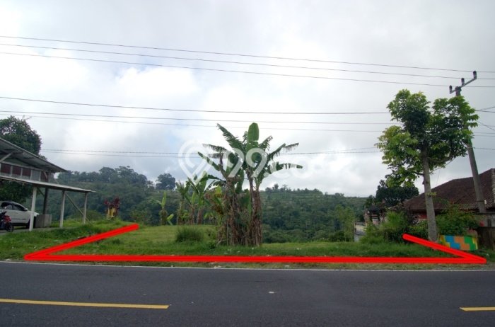 Tanah Dijual Lokasi Baturiti Tabanan SHM Tanah Dijual Lokasi Baturiti Tabanan SHM
