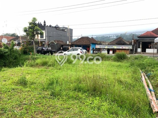 Tanah Dijual Lokasi Baturiti Tabanan SHM Tanah Dijual Lokasi Baturiti Tabanan SHM