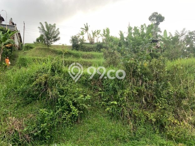 Tanah Dijual Lokasi Baturiti Tabanan SHM Tanah Dijual Lokasi Baturiti Tabanan SHM