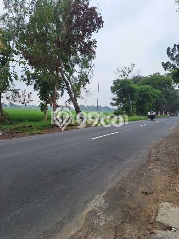 FOR SALE! Gudang di Sukoharjo Sukoharjo, LT 2200m2, LB 1100m2 FOR SALE! Gudang di Sukoharjo Sukoharjo, LT 2200m2, LB 1100m2