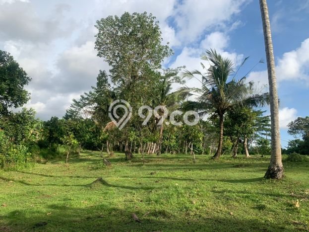 Tanah di Selemadeg, Tabanan Luas 11220m2 Dijual Segera Tanah di Selemadeg, Tabanan Luas 11220m2 Dijual Segera