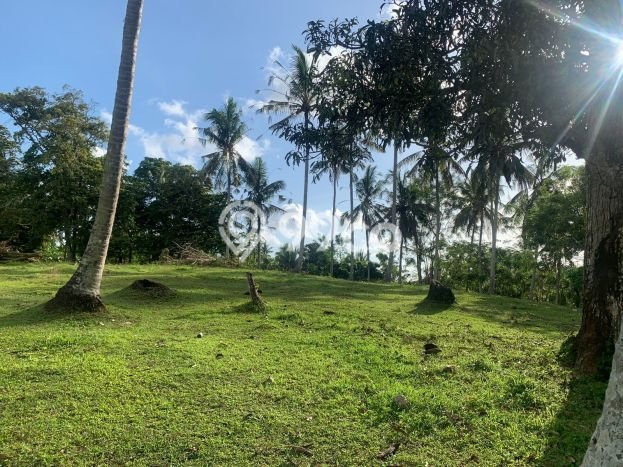 Tanah di Selemadeg, Tabanan Luas 11220m2 Dijual Segera Tanah di Selemadeg, Tabanan Luas 11220m2 Dijual Segera