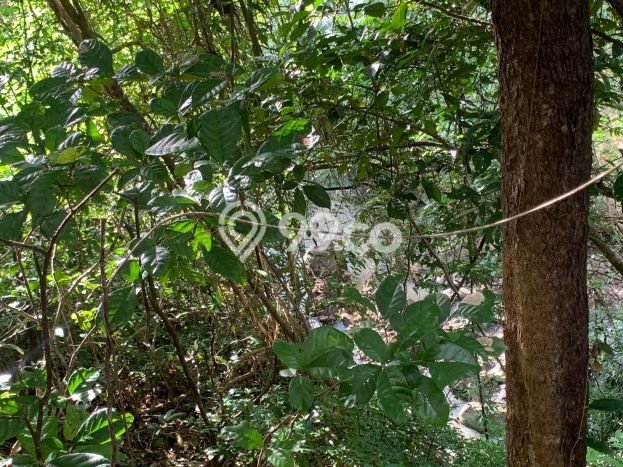 Tanah di Selemadeg, Tabanan Luas 11220m2 Dijual Segera Tanah di Selemadeg, Tabanan Luas 11220m2 Dijual Segera