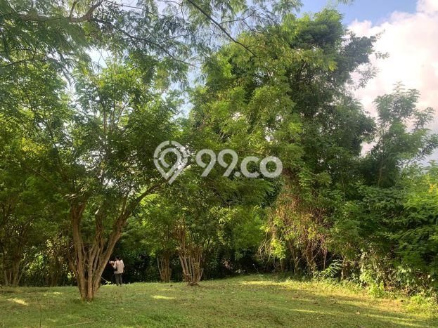 Tanah di Selemadeg, Tabanan Luas 11220m2 Dijual Segera Tanah di Selemadeg, Tabanan Luas 11220m2 Dijual Segera